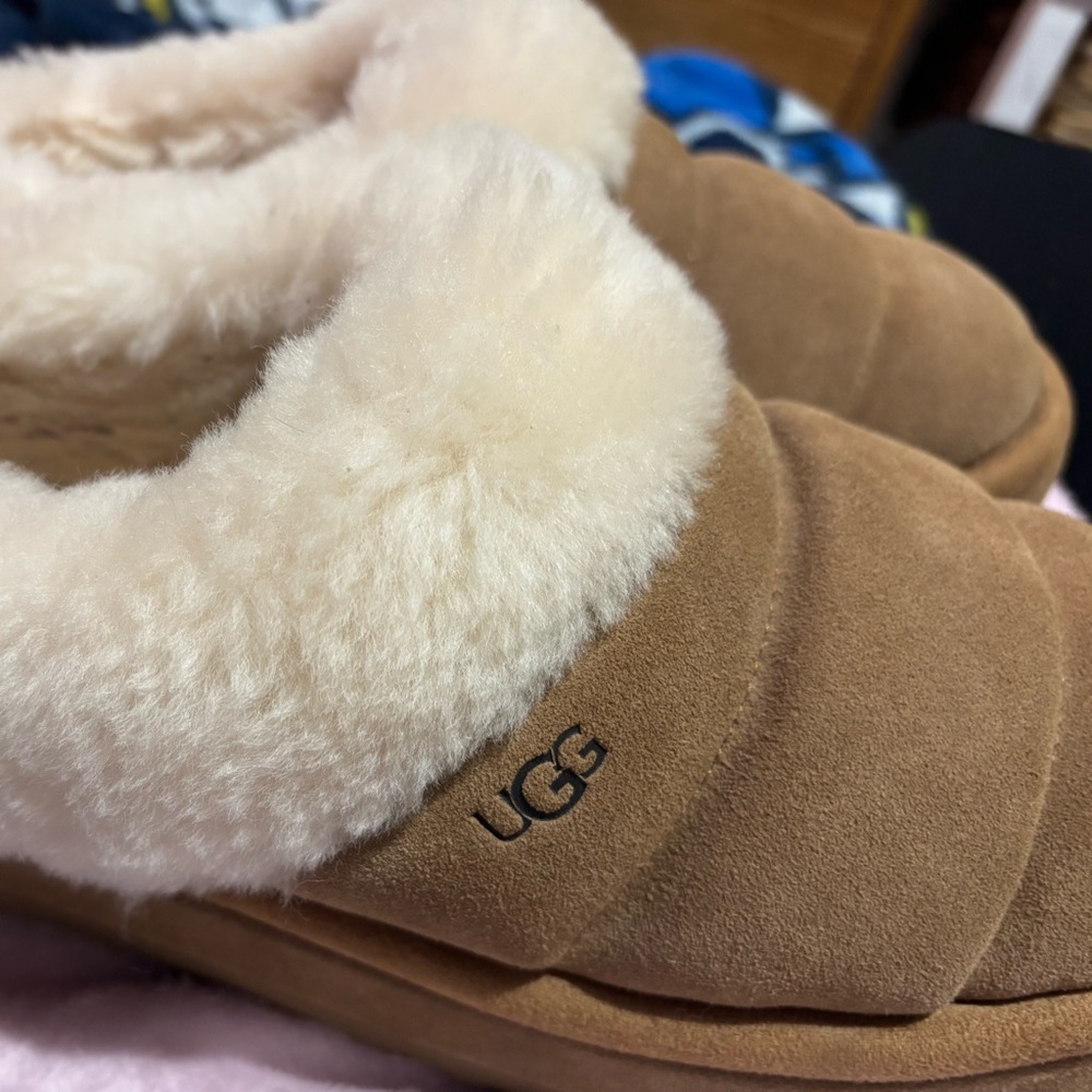 UGG Tazzlita